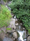 Stream in Iao Valley