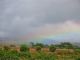 Rainbow over Fields