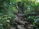A Steep, Rocky Trail