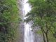 Manoa Falls Wideshot