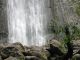 Manoa Falls Close-up