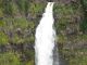 Akaka Falls Close-up